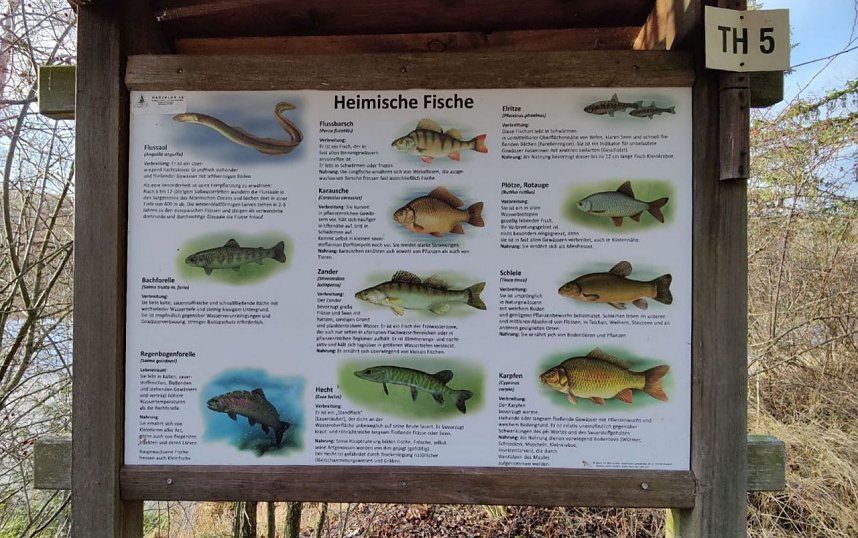 Peter Blei war im Harz unterwegs