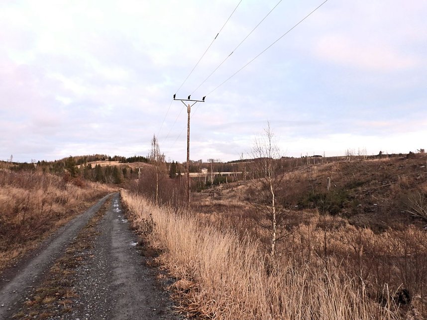 Peter Blei war im Harz unterwegs