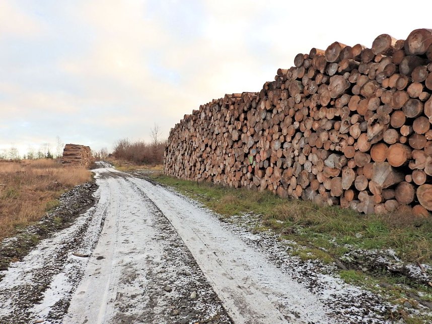 Peter Blei war im Harz unterwegs