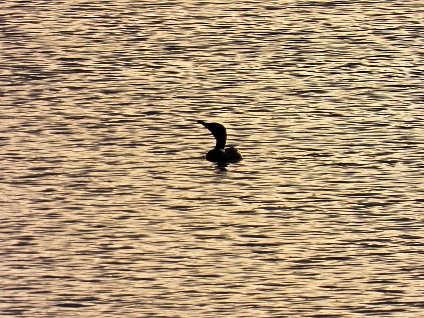 Peter Blei war im Harz unterwegs