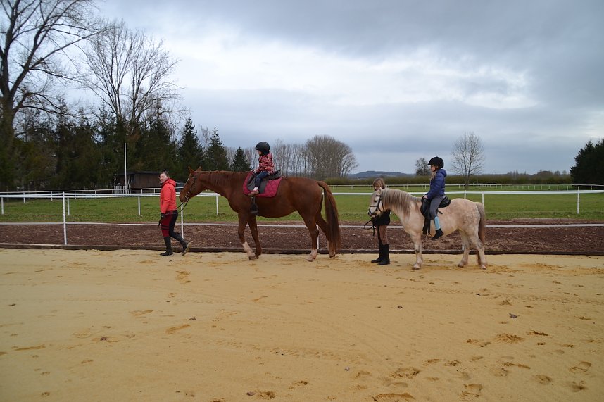 Der RFV sanierte seinen Reitplatz mit viel Einfallsreichtum