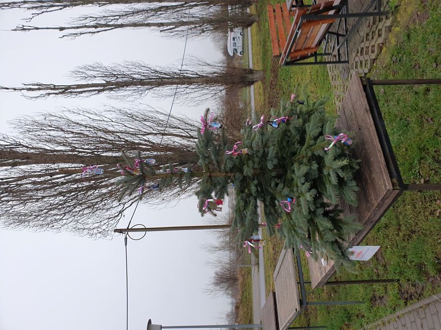 Weihnachtsmann unter Wasser - am Taucherteich versenkte man gestern wieder den traditionellen Weihnachtsbaum