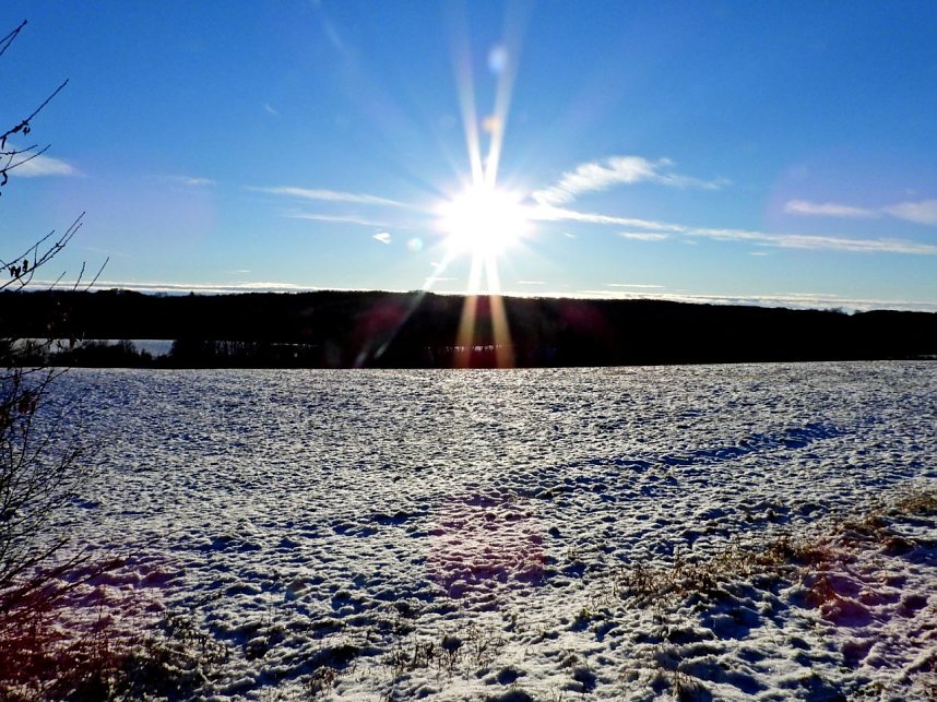 Winterspaziergang am Rosenteich