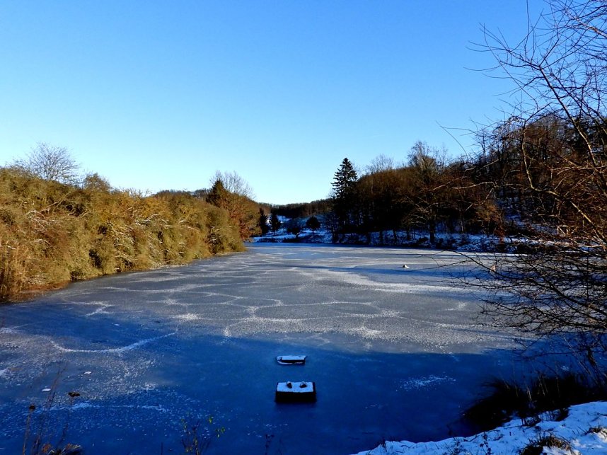 Winterspaziergang am Rosenteich