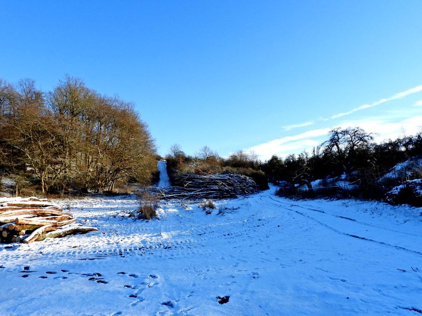 Winterspaziergang am Rosenteich