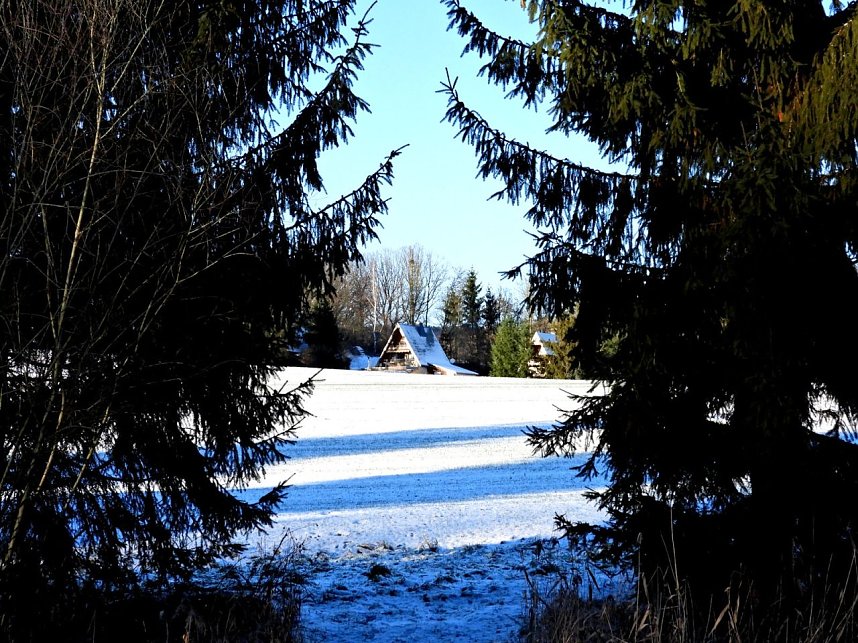 Winterspaziergang am Rosenteich