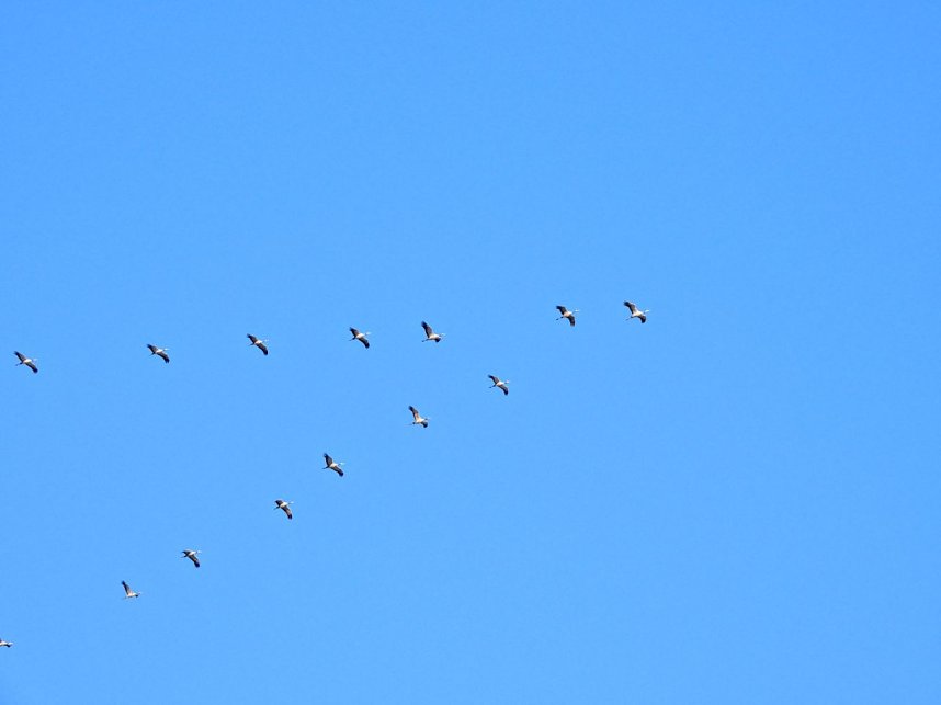 Winterspaziergang am Rosenteich