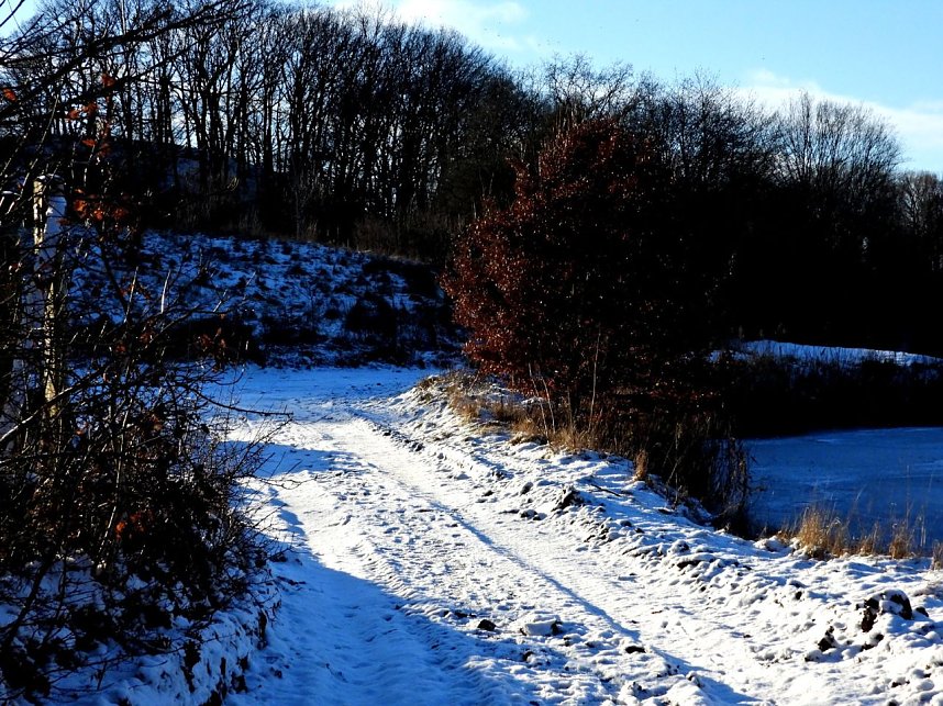 Winterspaziergang am Rosenteich