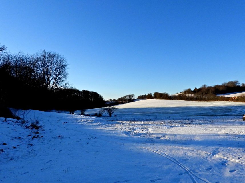 Winterspaziergang am Rosenteich