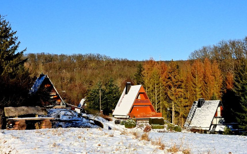 Winterspaziergang am Rosenteich