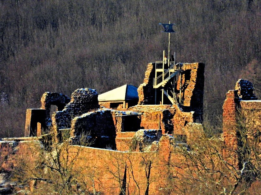 Winterspaziergang am Rosenteich