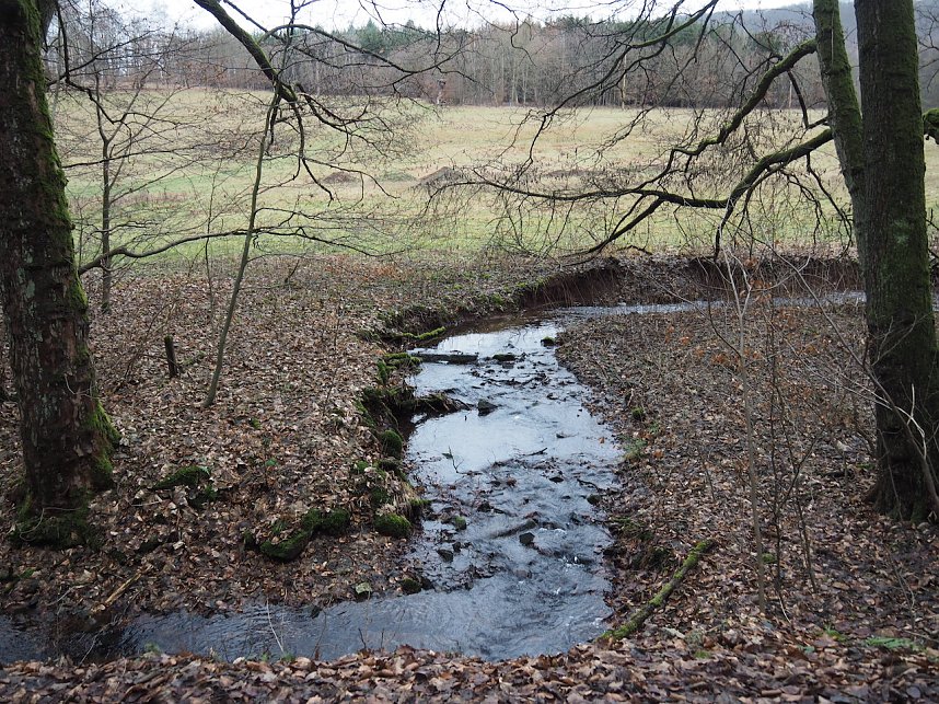 Ausflug zur Talsperre Neustadt