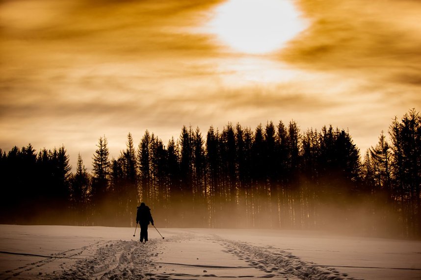 Humboldtianer auf j&auml;hrlicher Skifahrt