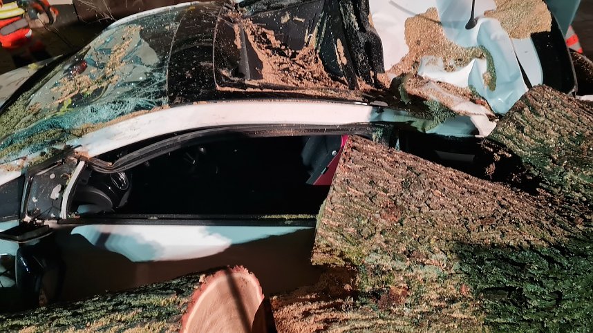 Morscher Baum begrub zwei Fahrzeuge unter sich