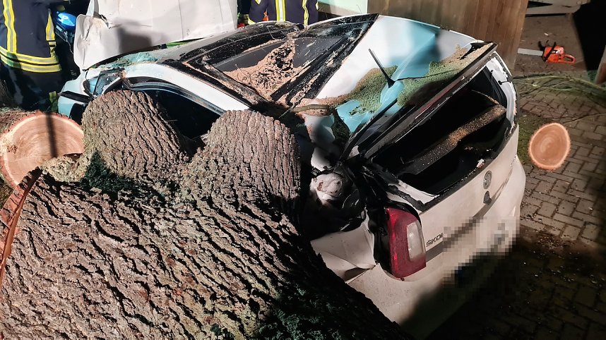 Morscher Baum begrub zwei Fahrzeuge unter sich