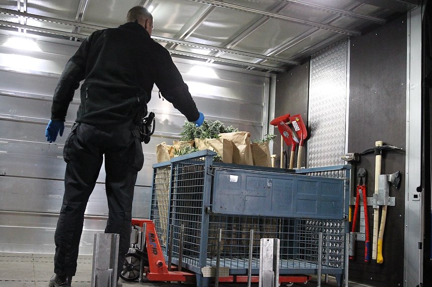 Bei einem Gro&szlig;einsatz in Sondershausen konnte die Polizei eine Cannabis-Plantage ausheben