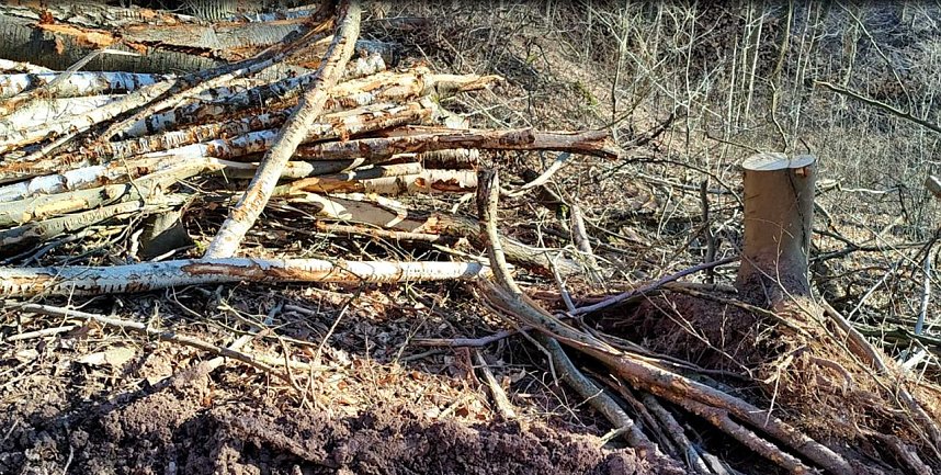 Peter Blei unterwegs bei Neustadt