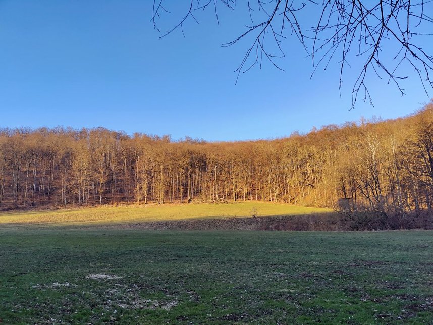 Peter Blei unterwegs bei Neustadt