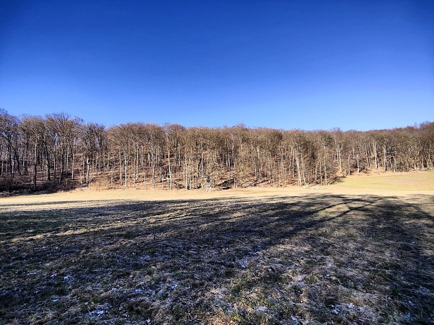 Peter Blei unterwegs bei Neustadt