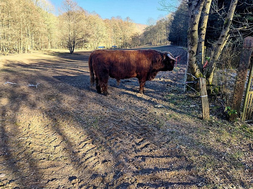 Peter Blei unterwegs bei Neustadt