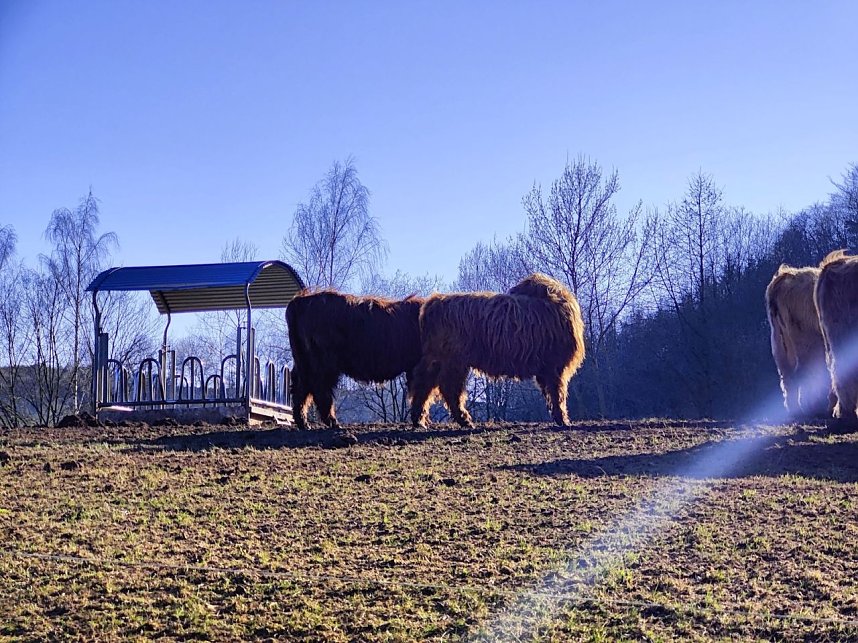 Peter Blei unterwegs bei Neustadt