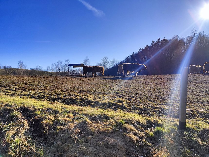 Peter Blei unterwegs bei Neustadt