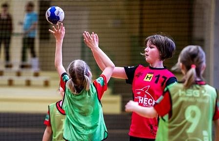 Handball in der Ballspielhalle