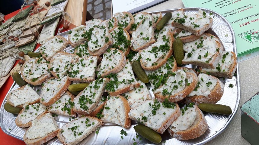 Der Harzklub Auleben l&auml;dt in diesem Jahr wieder zur Fr&uuml;hlingswanderung