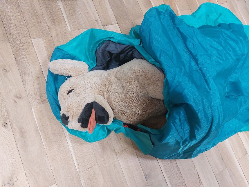 Lesenacht in Salzaer Grundschule