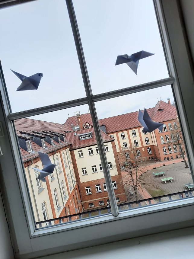 Friedensaktion am Herder-Gymnasium