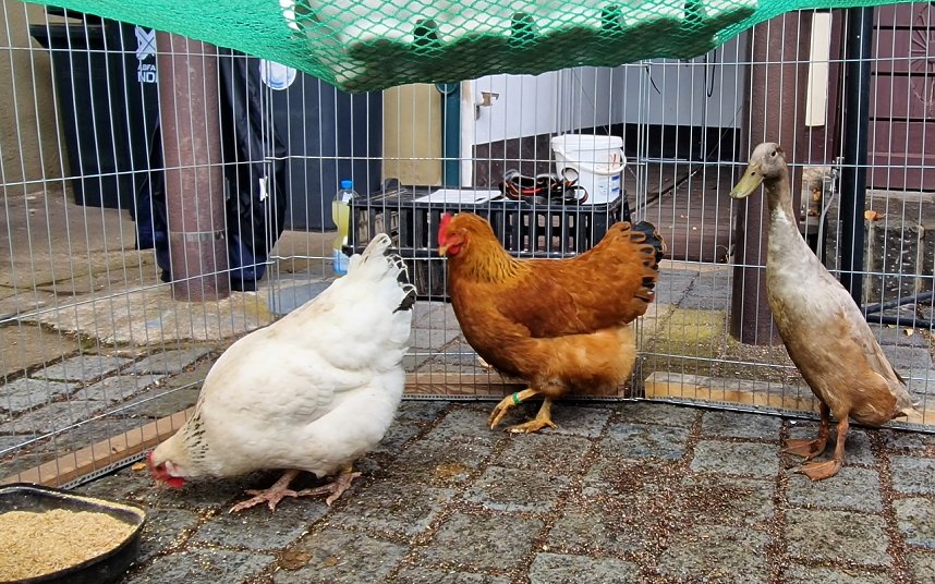 Osterfest in der Traditionsbrennerei
