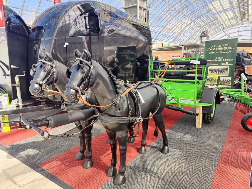 Peter Blei unterwegs auf der "Partner Pferd" in Leipzig