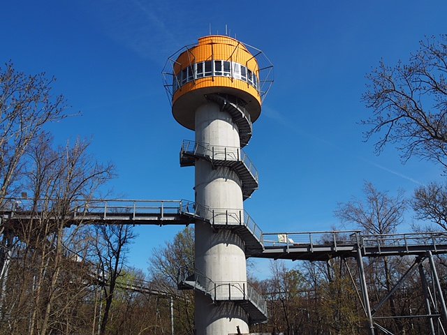 Auf dem Baumkronenpfad