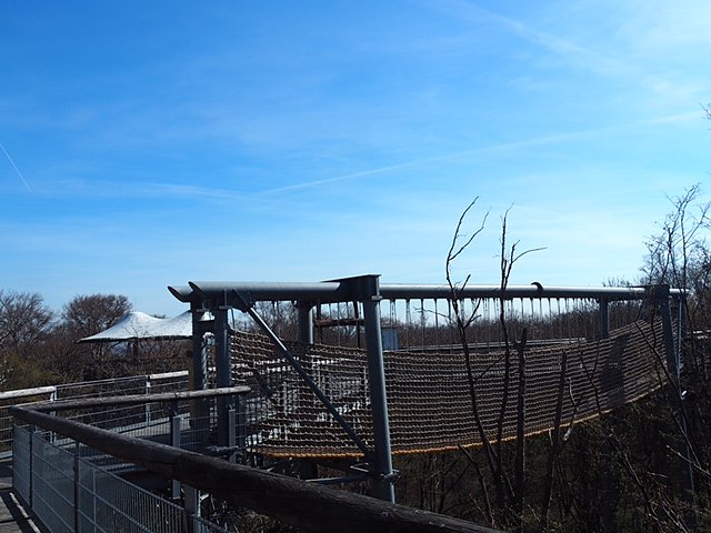 Auf dem Baumkronenpfad