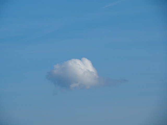 Auf dem Baumkronenpfad