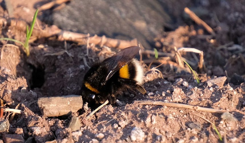 Abendspaziergang mit neuem Objektiv