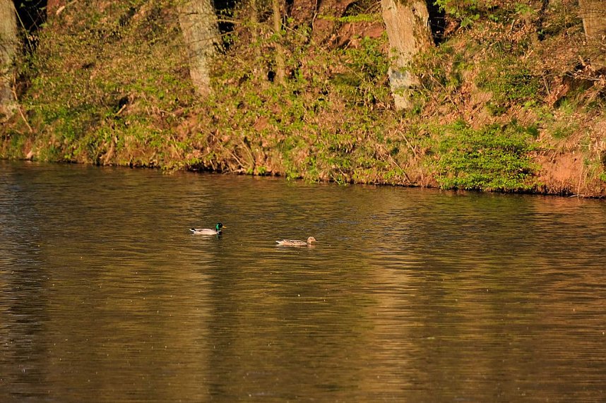 Abendspaziergang mit neuem Objektiv