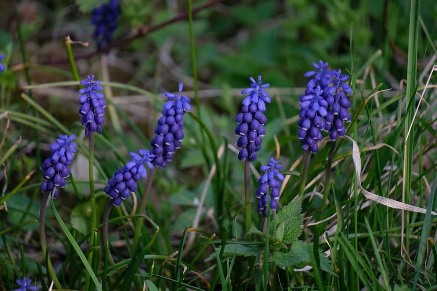 Abendspaziergang mit neuem Objektiv