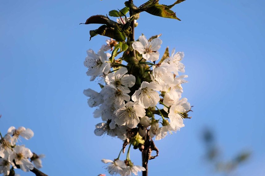 Abendspaziergang mit neuem Objektiv