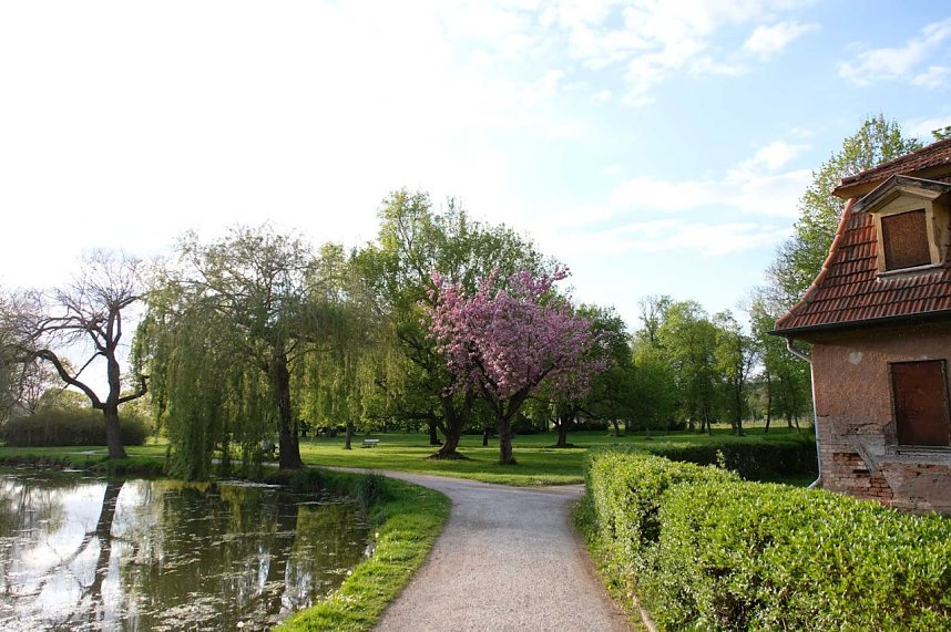 Sie br&uuml;ten noch!