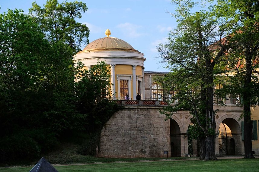 Sie br&uuml;ten noch!