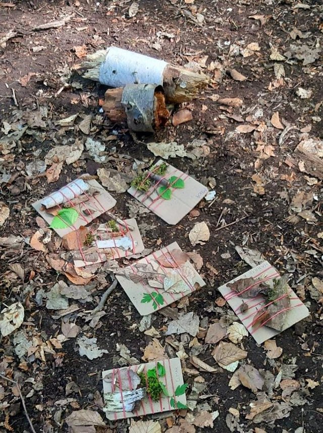 Waldprojekt im Kindergarten