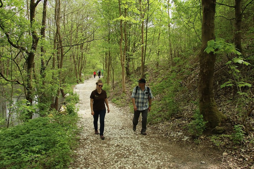 Auf dem Feuersalamanderpfad