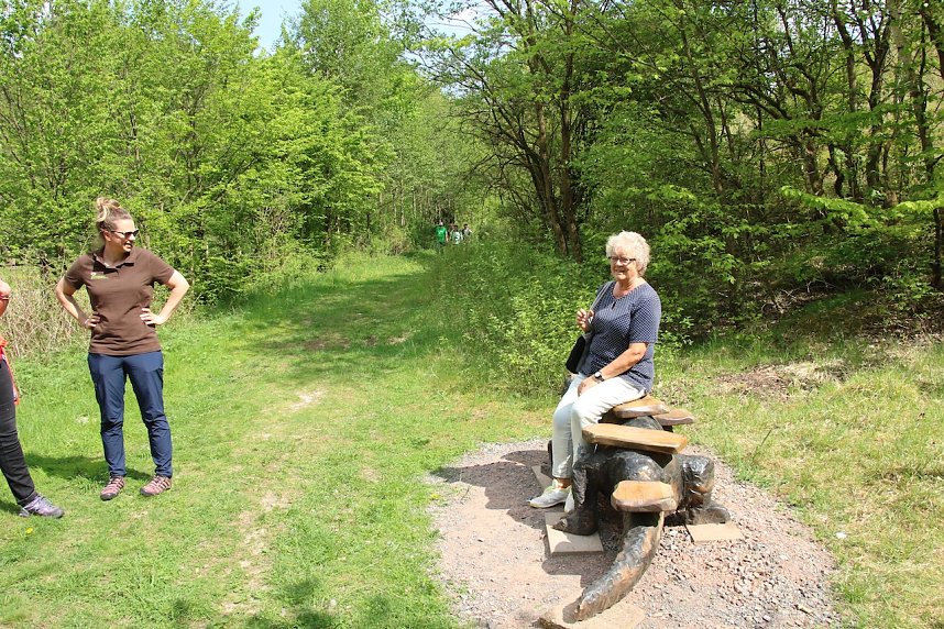 Auf dem Feuersalamanderpfad