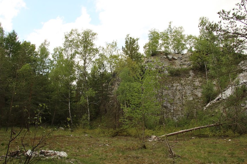 Auf dem Feuersalamanderpfad