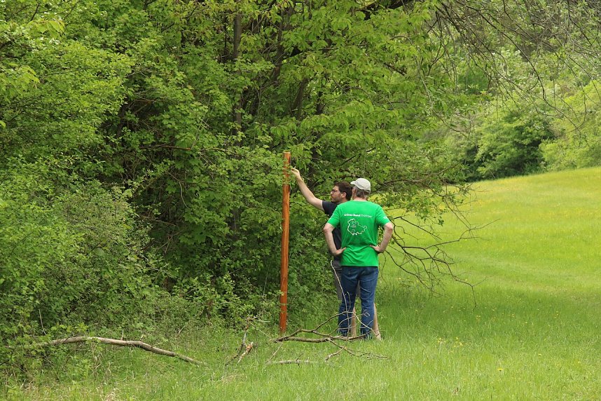 Auf dem Feuersalamanderpfad