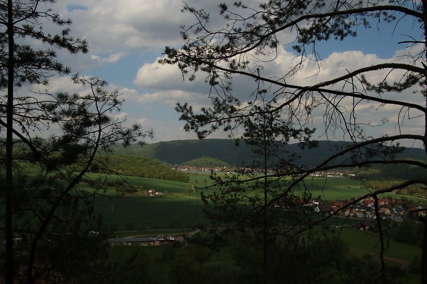 Auf dem Feuersalamanderpfad