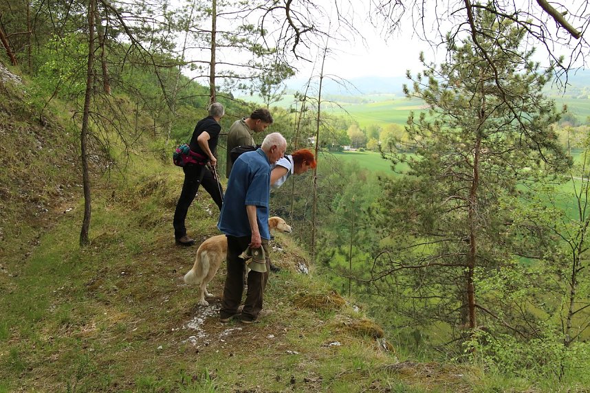 Auf dem Feuersalamanderpfad