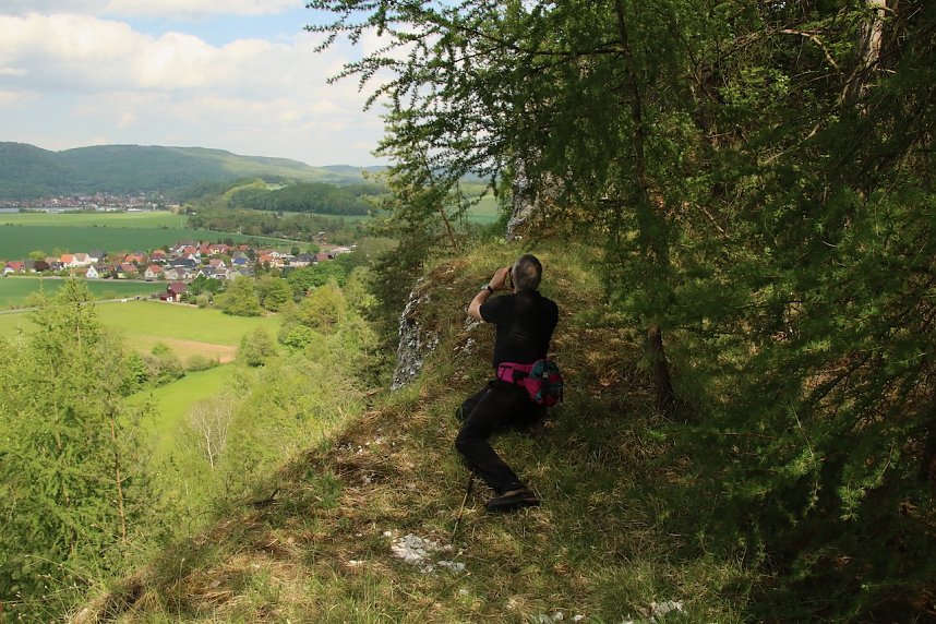Auf dem Feuersalamanderpfad