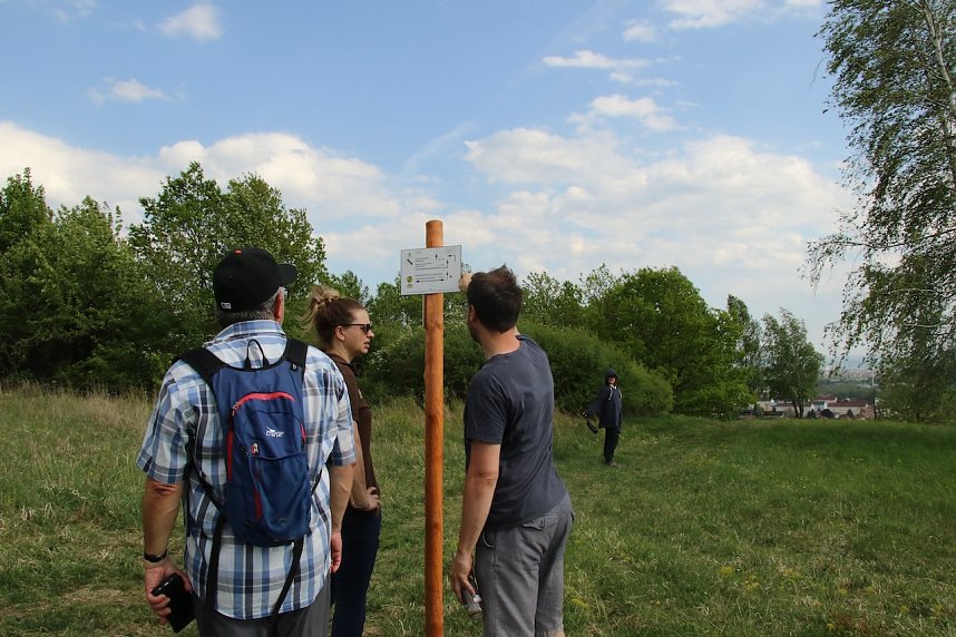Auf dem Feuersalamanderpfad